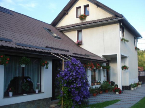 Casa Elena
